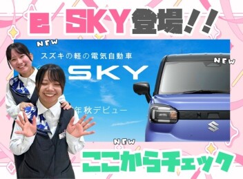 「新型 e SKY」ティザーサイト公開！